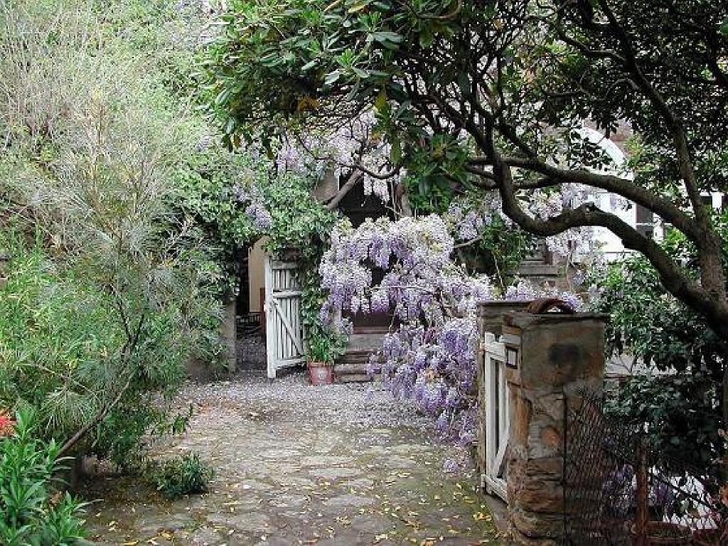 183 D36 LE LAVANDOU_000045.jpg